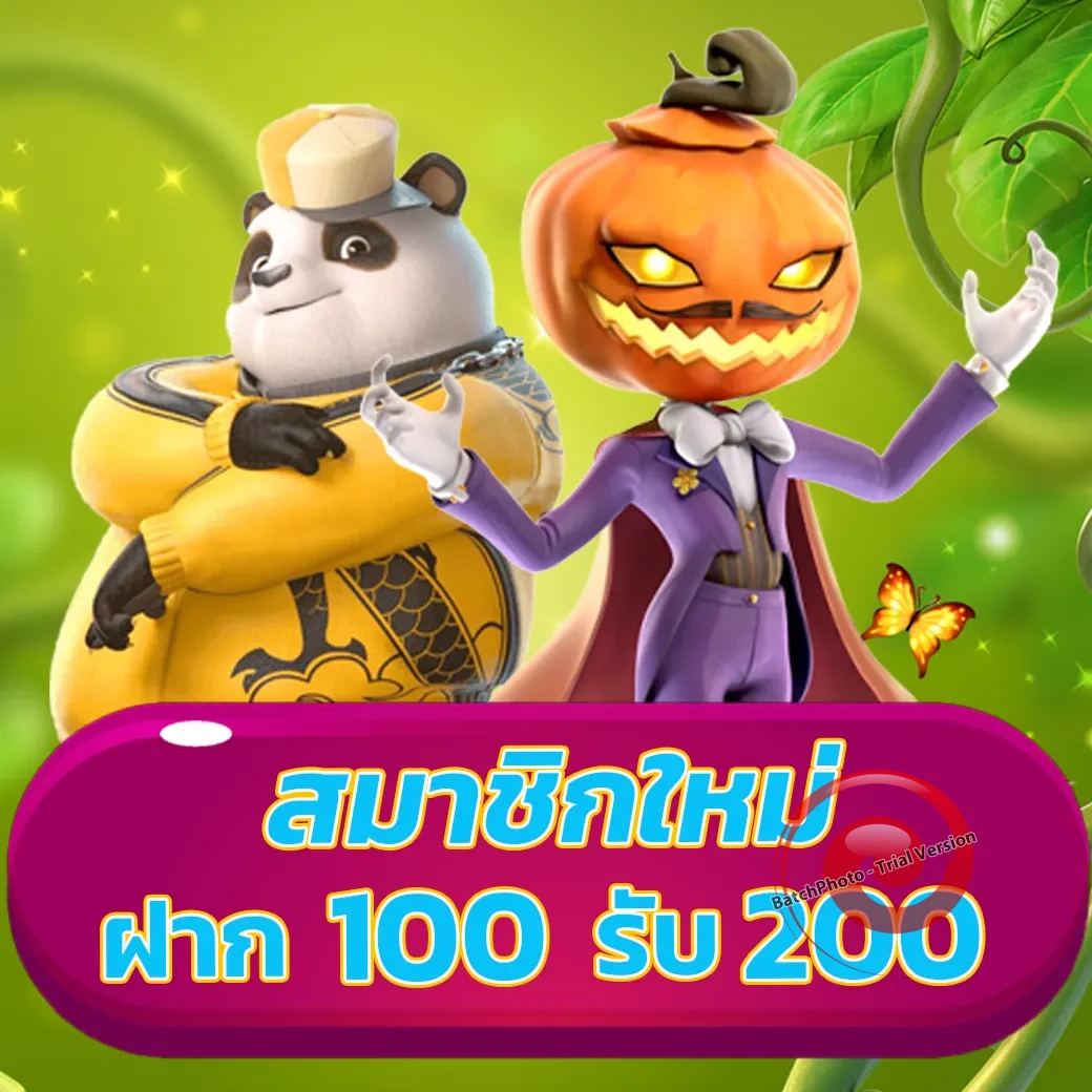 cat333 ทางเข้า